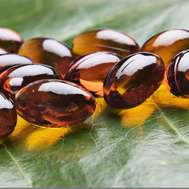 fish oil